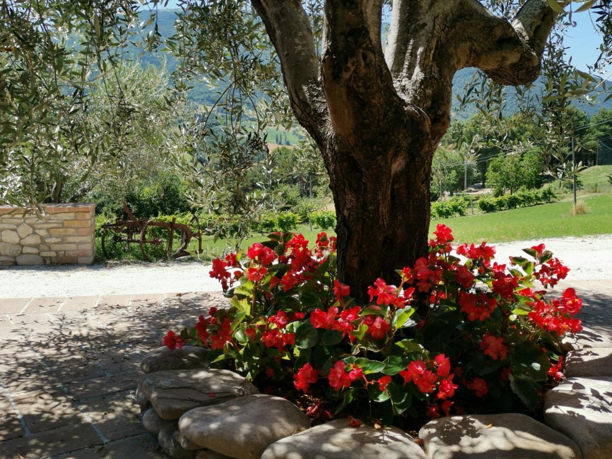 Agriturismo Sole Luna Piano Delle Pieve Exteriör bild