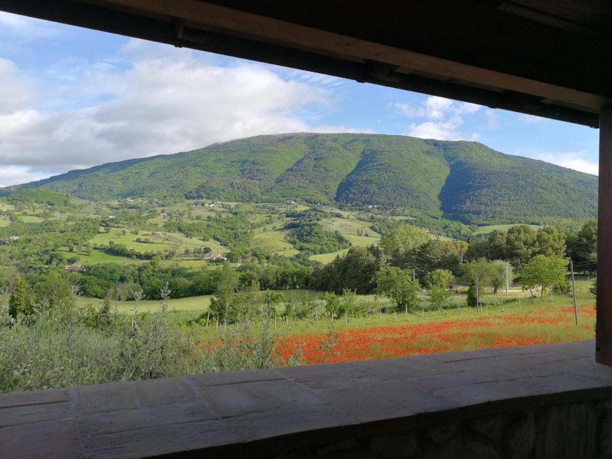 Agriturismo Sole Luna Piano Delle Pieve Exteriör bild