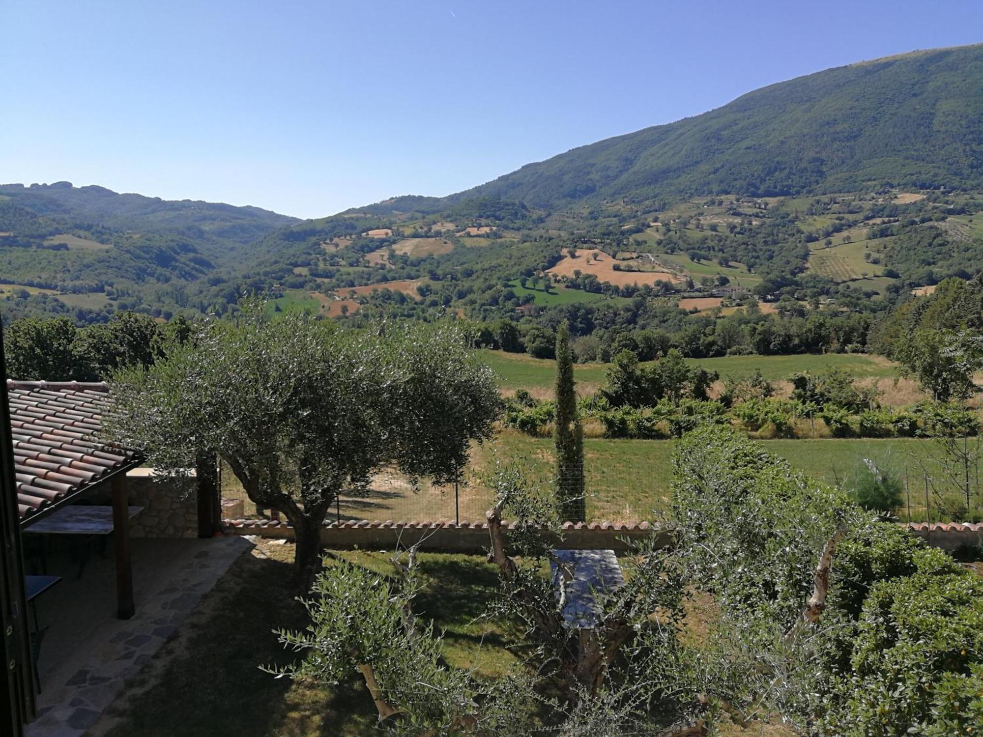 Agriturismo Sole Luna Piano Delle Pieve Rum bild